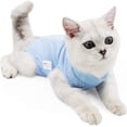 thumbnail image 1 of ZHAOCHENG Restauración profesional para gatos adecuada para heridas en el cuello abdominal o enfermedades de la piel, alternativa para perros y gatos, uso después de la cirugía (M, azul), 1 of 5