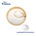 thumbnail image 2 of Lactobacillus fermentum HH-LF39 Sincero 200 mil millones de cfu/g Hogar, 2 of 4