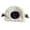 White, variant on TGPMGRZ Women Winter Warm Windproof Hat with for Skiing Riding Cute Cartoon Sheep Ear Design Cozy Thermal Headwear for Outdoor Cold Weather Activities