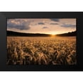 thumbnail image 2 of Lindsten, Christian 18x13 Black Modern Framed Museum Art Print Titled - Fields Of Gold, 2 of 5