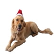 thumbnail image 1 of Sombrero de Navidad Colco Lujo Gorro Tema de Navidad Rojo L, 1 of 8