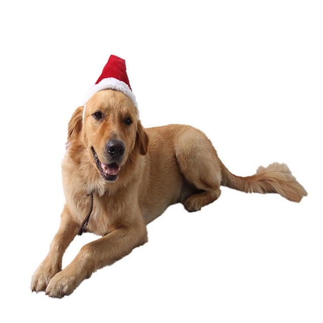 Sombrero de Navidad Colco Lujo Gorro Tema de Navidad Rojo L