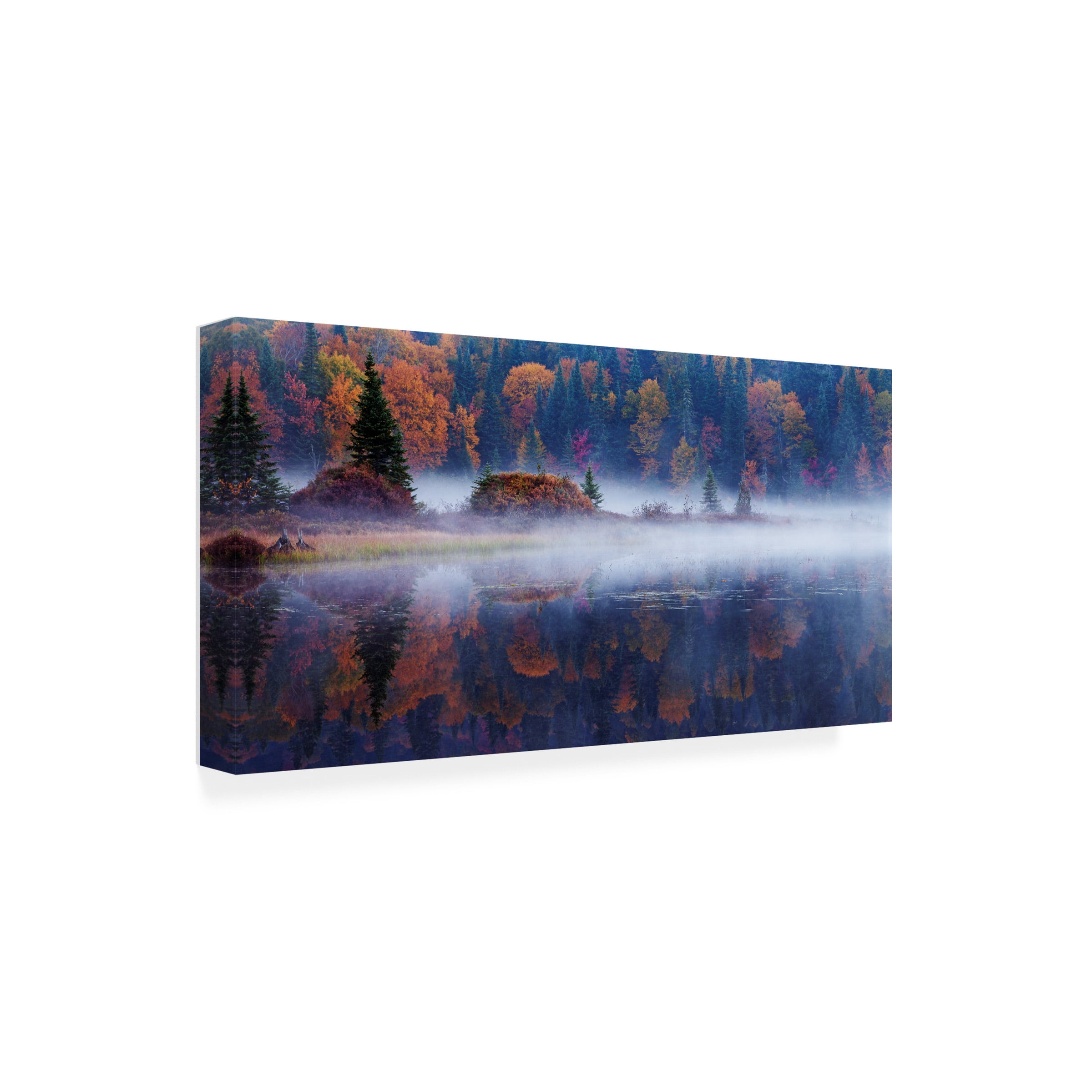 Mircea Costina 'Laurentian Forest' Canvas Art