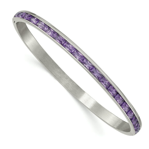 Primal Steel Stainless Steel Polished with Purple Cubic Zirconia 5.00mm Hinged Bangle