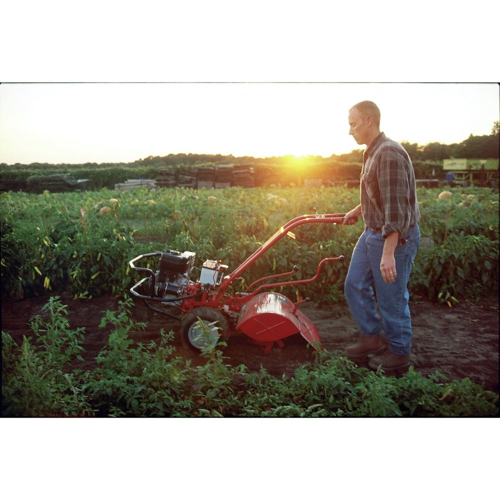 Troy-Bilt Big Red 306cc 20" Rear Tine Tiller, 21AE682WB66