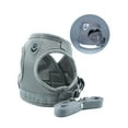 thumbnail image 3 of LAVA No Pull Dog Harness and Leash Set, No Choke Breathable Mesh Dog Vest Lightweight Adjustable for Small Medium Dogs - Easy to Put On and Take Off, 3 of 6
