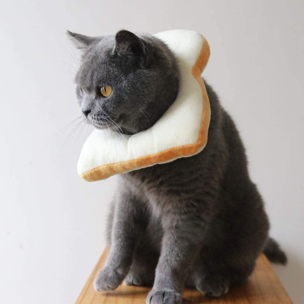 cat bread costume