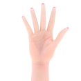 thumbnail image 4 of 1: 1 Gel de Silicona de Tamaño Natural Modelo de Mano Femenina Práctica de Uñas Manicura Entrenamiento Exhibición de Joyas Prop Cirugía perfke Estatua de mano de gel de sílice humana, 4 of 9