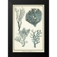 thumbnail image 2 of Vision Studio 13x18 Black Modern Framed Museum Art Print Titled - Coral Species II, 2 of 5