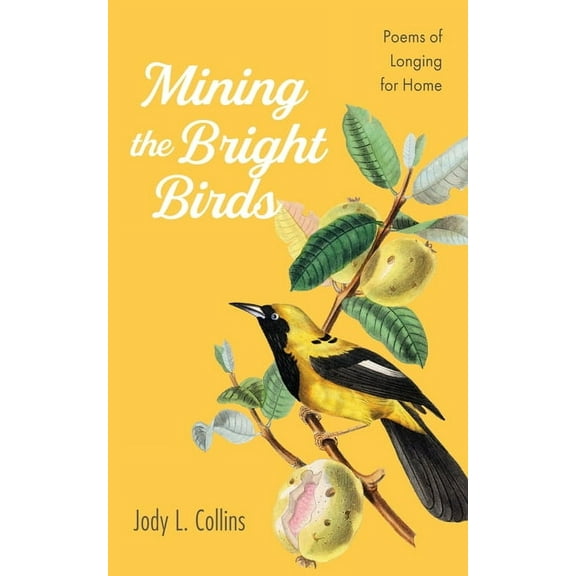 Mining the Bright Birds (Paperback)
