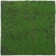 thumbnail image 1 of Micro paisaje musgo Artificial musgo falso Mini jardín paisajismo Prop adorno de musgo Artificial, 1 of 5