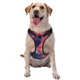 thumbnail image 1 of Balery Hawaiian Island Beach Shark Arnés para Perros Grandes Antitirones, Arnés con Correa para Gato, Arnés Tipo Chaleco para Perros Pequeños-Medium, 1 of 6
