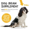 thumbnail image 3 of maxxiSAMe Advanced SAM-e Powder Supplement - Liver, Cognitive & Joint Support for Dogs, 5.3oz, 3 of 9