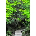 thumbnail image 2 of Berzel, Erin 17x24 Gold Ornate Wood Framed with Double Matting Museum Art Print Titled - Afternoon Hike II, 2 of 4