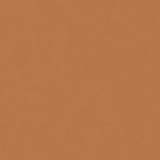 جينجر الثري