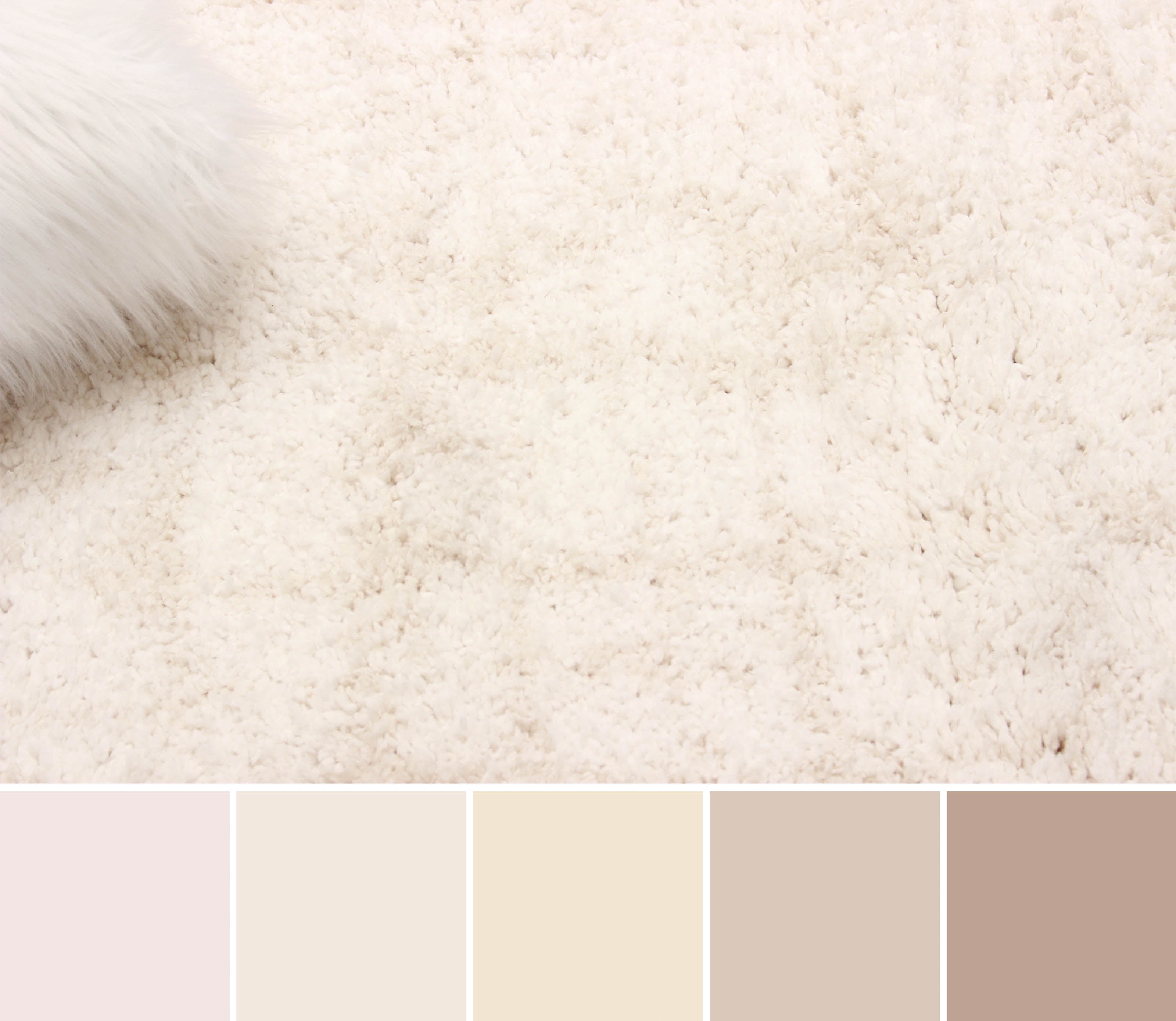 ECARPET Playa Contemporary/Modern, Plush & Shags Area Rug for Living Room, Bedroom, Dining Room, Entrance, Hallway and More.