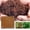 Pack of 2, variant on Coco Coir Brick for Plants-2 Pack Premium Coconut Bricks, 100% Organic Peat Moss, Fiber Coconut Husk for Planting, Gardening, Potting Soil Substrate