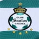 thumbnail image 3 of JERSEY CHARLY SANTOS M/LARGA 20-21 VERDE/BLANCO CABALLERO Charly 5018691/CABALLERO/VERDE, 3 of 3