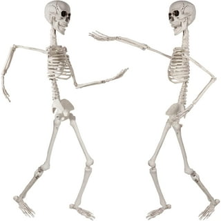 Halloween Plastic Posable Human Skeleton Decoration, Bone Color, 5FT,  3.5lbs, by Way To Celebrate