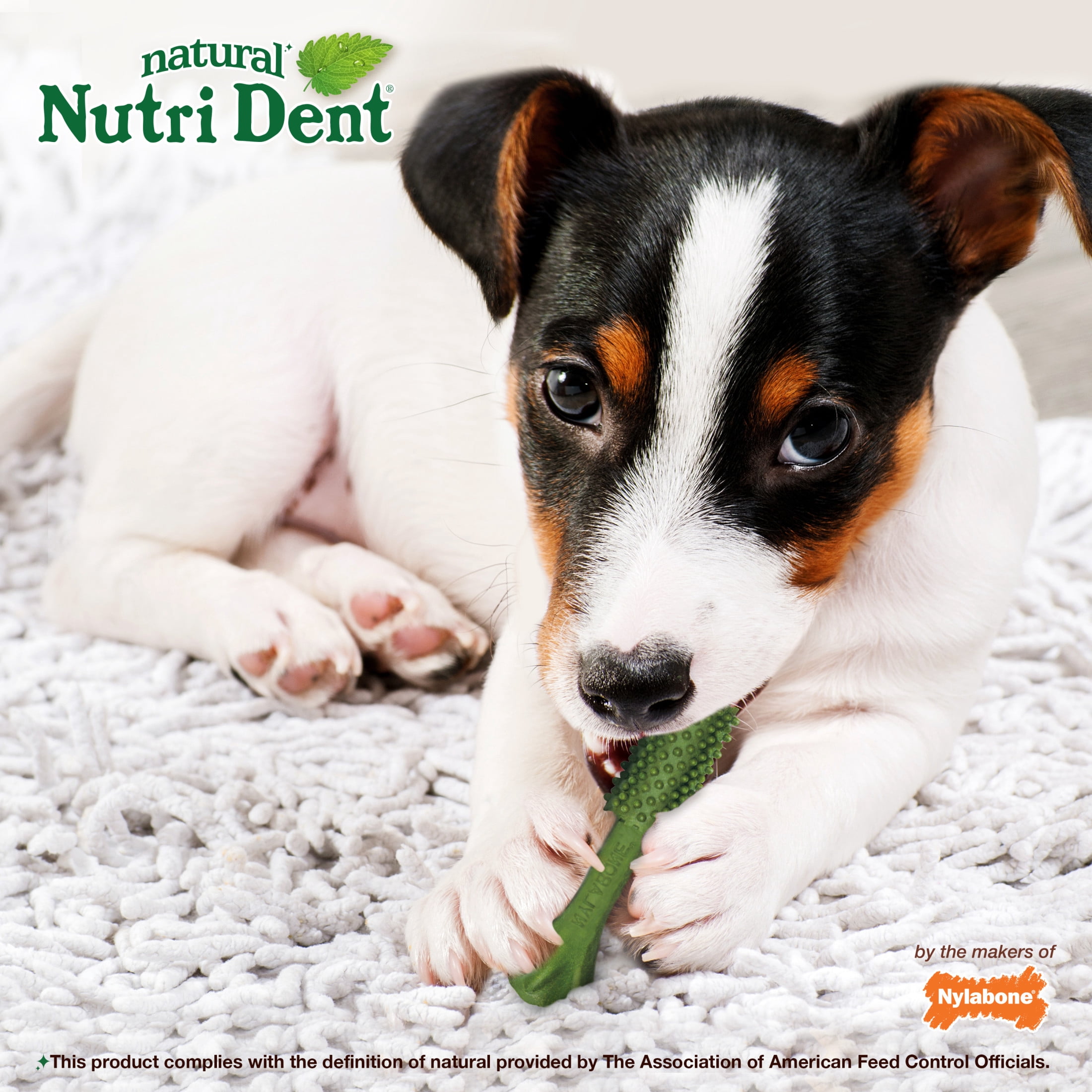 Nylabone Nutri Dent Natural Dental Chews for Dogs, Limited Ingredient Dog Treats, Teeth Cleaning Dental Sticks for Dogs, Fresh Breath Flavor, For Small Dogs (28 Count)