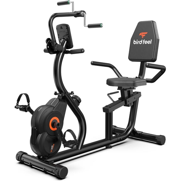 LNOW Recumbent Stationary Bike for Home with Arm Exerciser , Low-Impact Cardio & Physical Therapy for Seniors