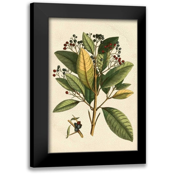 Vision Studio 11x14 Black Modern Framed Museum Art Print Titled - Small Seasonal Foliage IV