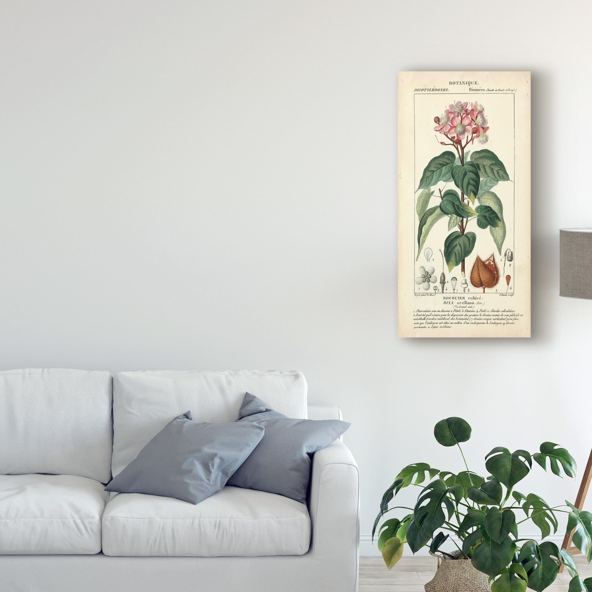 Trademark Fine Art 'Botanique Study in Pink I' Canvas Art by Turpin