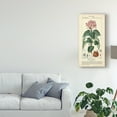 thumbnail image 3 of Trademark Fine Art 'Botanique Study in Pink I' Canvas Art by Turpin, 3 of 4