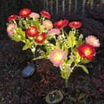 thumbnail image 3 of Billuyoard 2 luces solares de flores para exteriores, un hermoso adorno para el césped con flores solares. Decoración del hogar B, 3 of 6