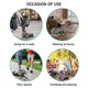 thumbnail image 5 of Alternativa a silla de ruedas para perros de interior para mascotas paralizadas, bolsa de arrastre para perros para patas traseras, silla de ruedas para scooter de mascotas para proteger el pecho y, 5 of 5