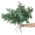 thumbnail image 5 of Artificial Silk 18 Inch Leather Leaf Fern Greenery Florist Quality 7 Leaves per stem 6 Bunches totals 504 Leaves (6 Bunches of 12 Stems 72 Stems), 5 of 8