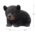 thumbnail image 3 of Baby Black Bear Crawling, 3 of 5
