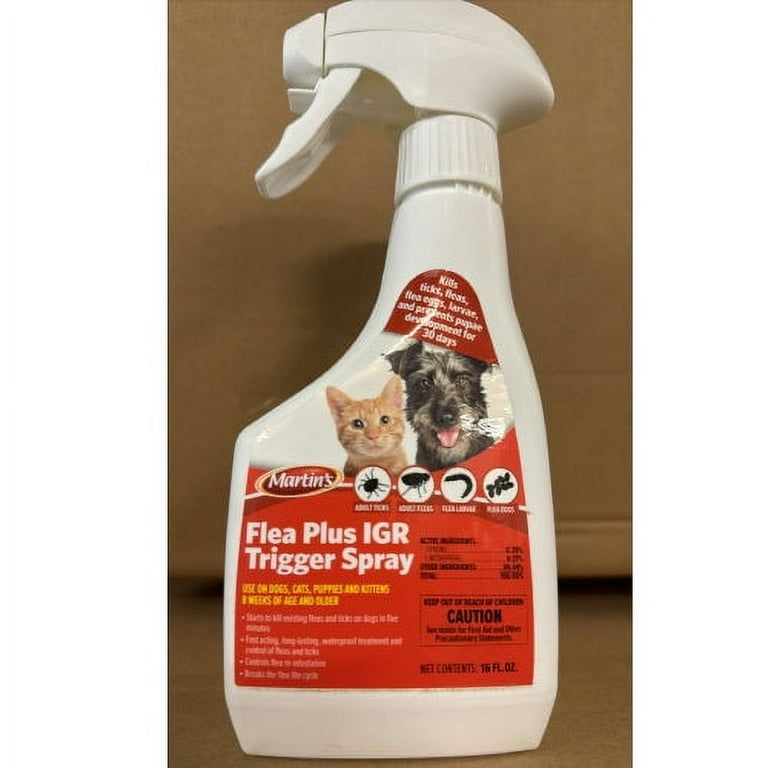 Best igr flea spray online
