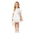 thumbnail image 3 of Girls Princess Tutu Skirt, Layered Tulle Fluffy Cake Skirt with Elastic Waist for Kids 5-14 Years, 3 of 5