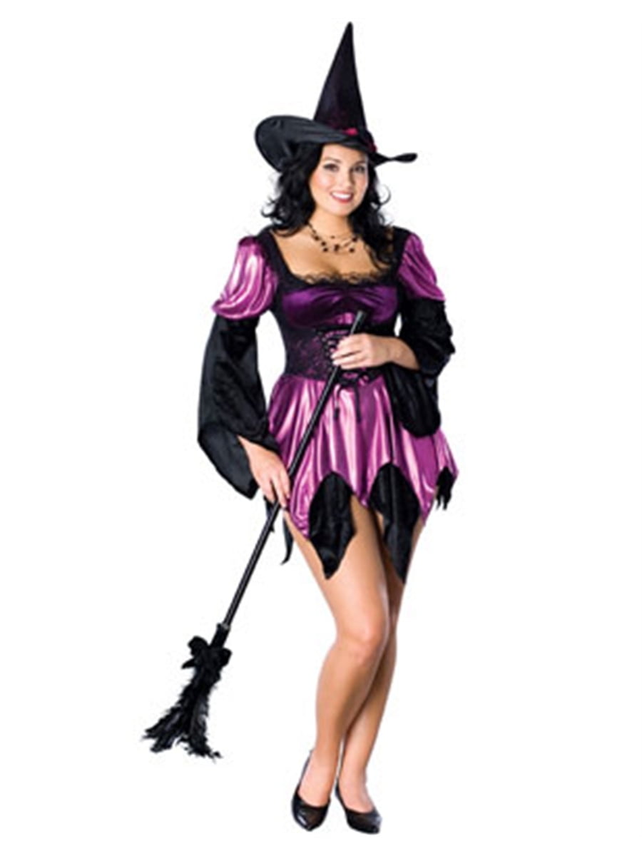 Rubies Costume Co Adults Full Figure Classic Purple and Black Witch ...