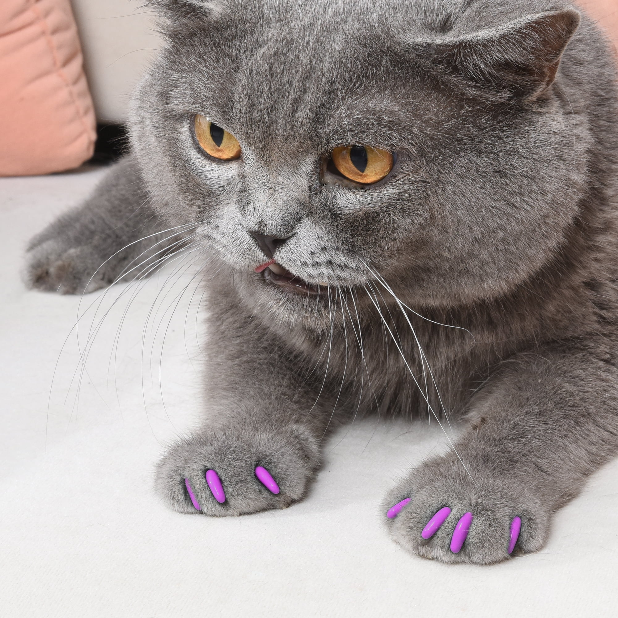 Silicone best sale cat nails