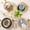Colorful(Handbrush Rim), variant on 4, 12 Pieces Handpainted Plates and Bowls Set with Rustic Terracotta Underside, Scratch Resistant Stoneware Dishes Set, Dishwasher & Microwave Safe, White