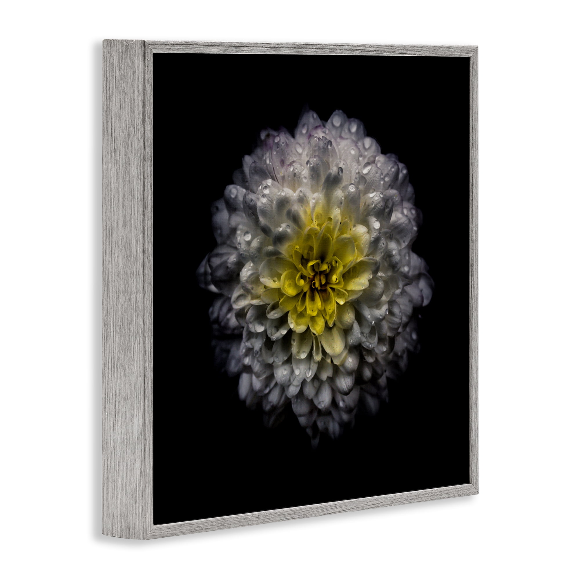 White And Yellow Mum Gray Framed Giclee Art, design by Brian Carson Photography