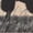Natural, variant on Yosemite Graphic Men's Natural T-Shirt