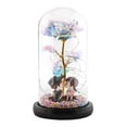 thumbnail image 1 of Lámpara de cristal LED Sunnimix Rosa eterna para aniversario Cumpleaños, 1 of 8