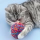 thumbnail image 3 of KAKOWELY Pelotas de juguete para gatos, juguete chirriante para gatitos, pelotas interactivas para gatos, pelotas de juguete para gatitos, juguete para gatitos, 3 of 5