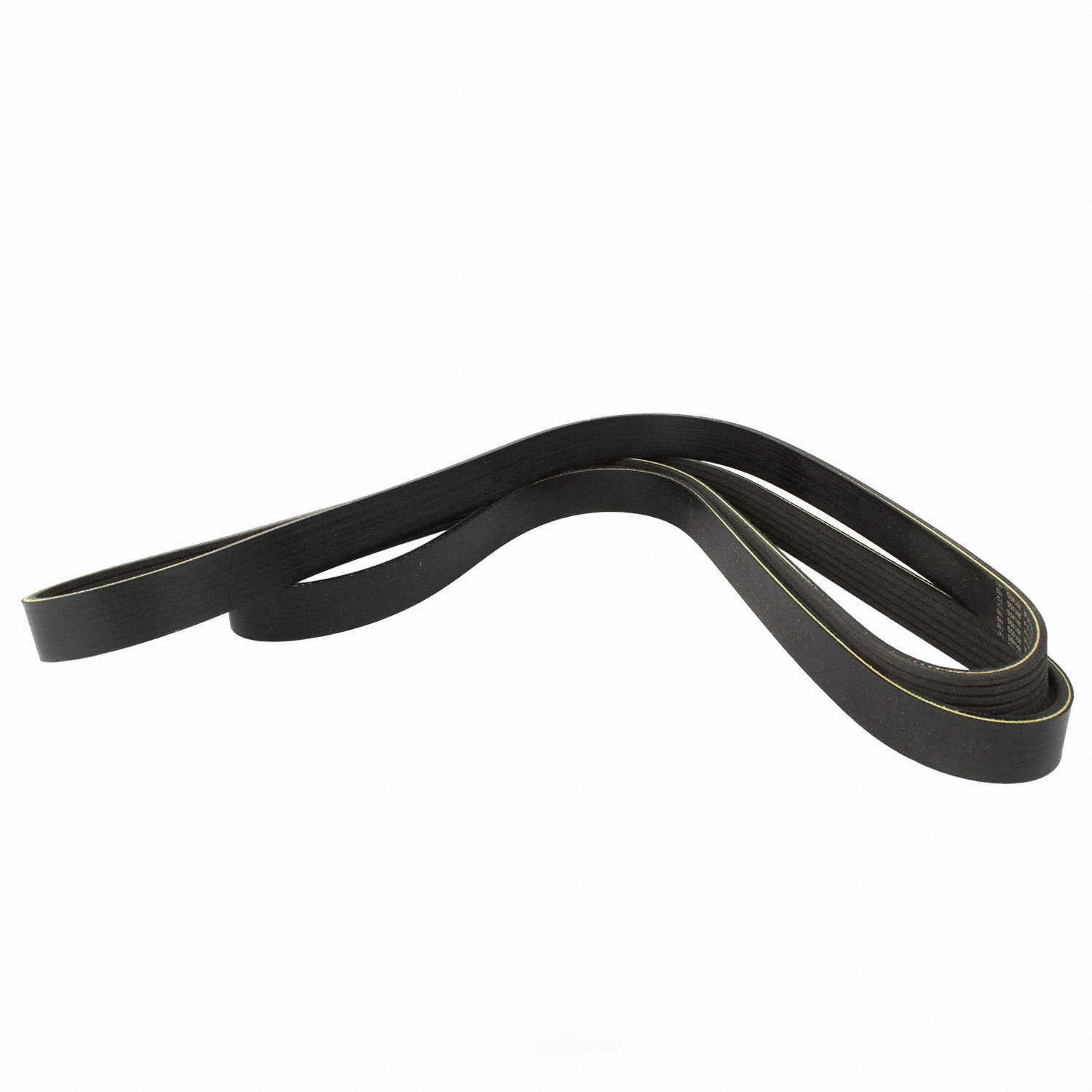 Motorcraft Serpentine Belt JK6-842-CB Fits select: 2000-2004 FORD FOCUS