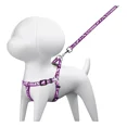 thumbnail image 1 of Correa Con Pechera Para Perro, 1 Cm Ancho, Talla Ch 44294, 1 of 8
