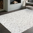 thumbnail image 6 of Pasargad Home Galaxy 5' x 8' Hand-Loomed Cowhide Silver/Grey Rug - All Ages, Indoors, 6 of 6