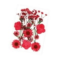 thumbnail image 1 of segolike Dried Pressed Flowers Craft Making Beautiful Real Dried Flowers for Scrapbooking Red, 1 of 9