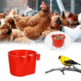 thumbnail image 5 of 60Pcs Chickens Feeders for Cage,Hanging Chicken Water Feeder Cup, Plastic Birds Seed Bowl,, 5 of 5