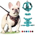 thumbnail image 4 of No Pull Dog Harness and Leash Set Adjustable Pet Harness Vest For Small Dogs Cats Reflective Mesh Dog Chest Strap French Bulldog, 4 of 6