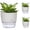 White, variant on NOGIS 3 Pack 6 Inch Self Watering Pots for Indoor Plants Wicking Pots, Modern Decorative Planter Pot for House Plants, Aloe, Herbs, African Violets, Succulents-White