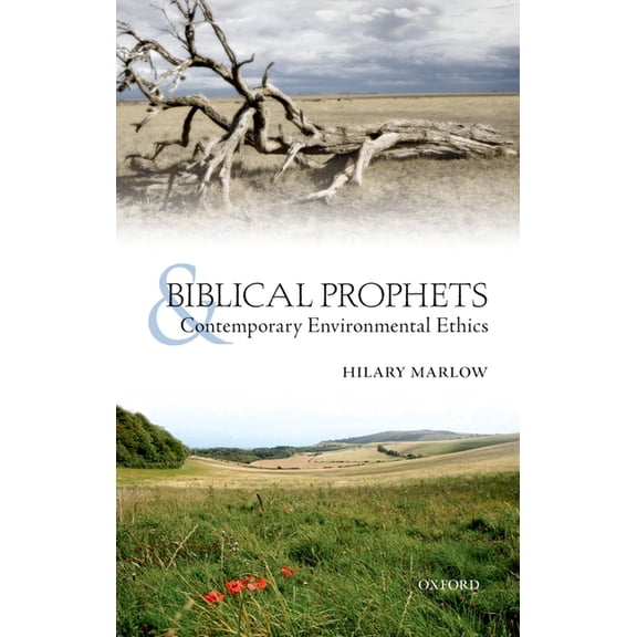 Biblical Prophets and Contemporary Environmental Ethics: Re-Reading Amos, Hosea, and First Isaiah, (Hardcover)