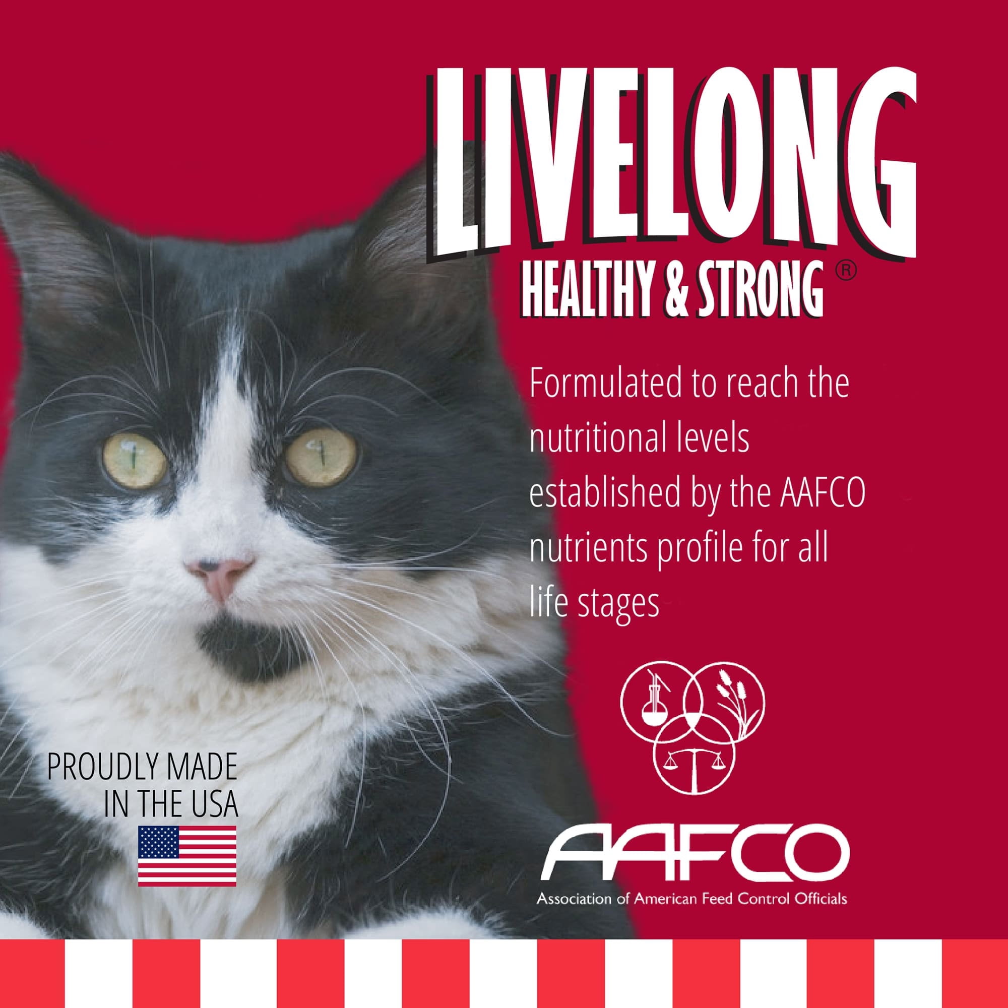 Livelong Healthy & Strong: 24 Pack: Yummy Meats - 5.5oz Cans, Wet Cat Food, High-Quality Meat, High Protein, All Natural, No Preservatives,